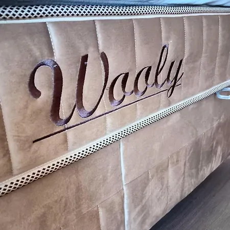 Double To Bul Tsar Boris 3 * סופיה